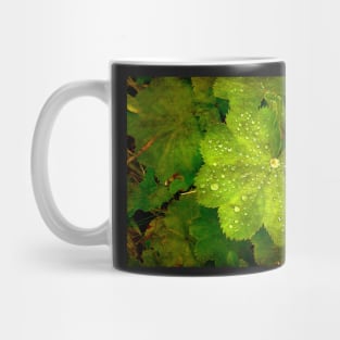 Rain Pearls Mug